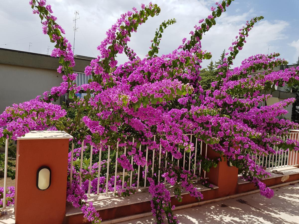 Grumo Appula Dimora D'Amato B&B 외부 사진
